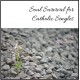 Soul Survival for Catholic Singles - Judy Keane