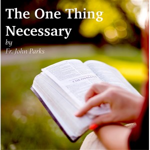 MP3 17th NCSC - The One Thing Necessary - Fr. John Parks